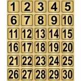 Özarslan Dizayn Metal Kapı Masa Dolap Numarası 30'lu Altın - 30 Adet - 3,5 x 3,5 cm