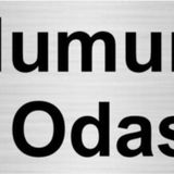 Özarslan Dizayn Numune Odası 10x20 cm Gümüş Renk Metal Yönlendirme Levhası