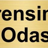 Özarslan Dizayn Prensimin Odası 5x20 cm Altın Renk Metal Yönlendirme Levhası