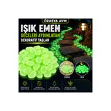 Özasya AVM Gece Karanlıkta Işık Vererek Parlayan Dekoratif Fosforlu Çakıl Taşları