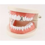 Özbience 14K Altın Kaplama Klasik Single Grillz Diş Taşı, Şık ve Parlak Tasarım - Açık Bej