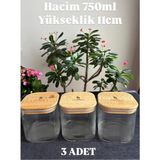 Özbience 3'lü Cam Kavanoz Seti, Bambu Kapaklı, Vakumlu, 750 Ml, Saklama Çözümü - Ahşap - Beyaz