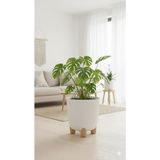 Özbience Modern 25X25 cm Akıllı Altlıklı Saksı, 9 Litre, Şık ve Fonksiyonel - Ahşap - Beyaz