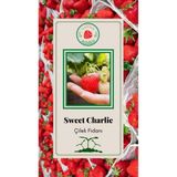 Özcanlar 1 Adet Sweet Charlie Çilek Fidesi Taze Söküm