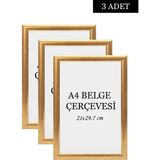 Özcanlar Çerçeve 3 Lü Set A4(21X29.7) Diploma Çerçevesi Belge Çerçeveleri Sertifika Çerçevesi - Gold - 21 x 29,7
