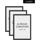 Özcanlar Çerçeve 3 Lü Set A4(21X29.7) Diploma Çerçevesi Belge Çerçeveleri Sertifika Çerçevesi - Siyah - 21 x 30