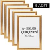 Özcanlar Çerçeve 5 Li Set A4(21X29.7) Diploma Çerçevesi Belge Çerçeveleri Sertifika Çerçevesi - Gold - 21x29,7