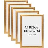 Özcanlar Çerçeve 5'li Set A4 Çerçeve Ucuz 21X29,7 Sertifika Evrak Diploma Belge Fotoğraf Çerçevesi Duvara Asılabilir Ofis - Altın - 21 x 29,7 cm