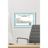 Özcanlar Çerçeve A4 Çerçeve Ucuz 21X30 Sertifika Evrak Diploma Belge Fotoğraf Çerçevesi Duvara Asılabilir Ofis Özc-Boşbelge - Renkli - 15 x 21 cm