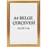 Özcanlar Çerçeve Diploma Çerçevesi Belge Çerçevesi Sertifika Fotoğraf Çerçevesi A4 Tekli Boş Çerçeve 21X29,7-21X30 - Gold