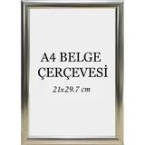 Özcanlar Çerçeve Diploma Çerçevesi Belge Çerçevesi Sertifika Fotoğraf Çerçevesi A4 Tekli Boş Çerçeve 21X30 - Gümüş