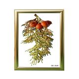 ÖZCANLAR ÇERÇEVE Hediyelik Çerçeve Ev Home Ofis Kişiye Özel Resim Çerçevesi Masaüstü 25x30 25X30-Lam22-Gümüş