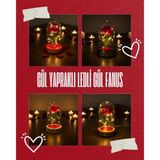 Ozcmax Gül Yapraklı Ledli Gül Fannus