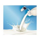 Ozcmax Inek Tasarımlı Sevimli Cam Suluk - Süt Şişesi 1000 ml