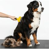 Ozcmax Kedi & Köpekler Için Tüy Alııcı 7 cm