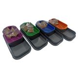 Ozcmax Topraksız Kedi Çimi Kabıı