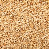 Özdamak Şekerleme 500 gr Kavrulmuş Susam