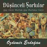 Özdemir Erdoğan - Düşünceli Şarkılar - Plak