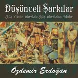 Özdemir Erdoğan Müzik Özdemir Erdoğan Düşünceli Şarkılar 33 Plak Pop Müzik Türünde Sanatçı Eseri