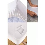 Özdilek 100x200 cm Fitted Lastikli Sıvı Geçirmez Yatak Koruyucu