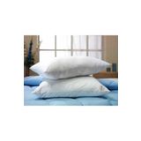 Özdilek 50x70 cm 600 gr Eko Ranforce Silikon Yastık