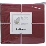 Özdilek Colourist Tek Kişilik Lastikli Fitted Çarşaf 100x200+30 220787