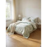 Özdilek Ranforce Ravenea Tek Kişilik %100 Pamuk Nevresim Takımı - Yeşil - 160 x 220 cm