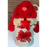 Özel Kutuda, Aşk Temalı Peluş Hediye Kutusu – Kırmızı Jellycat Tavşan & 5 Mini Ayıcık (Özel Tasarım)