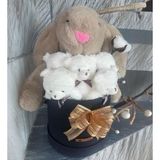 Özel Kutuda, Boz Jellycat Tavşan, 5 Beyaz Ayıcık – Pamuk Çiçeği Dokunuşlu, Özel Ayıcık Buketi