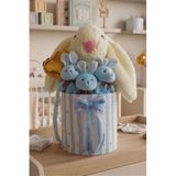 Özel Kutuda Uyku Arkadaşı Bunny Peluş Tavşan İle Erkek Yeni Doğan Hediye Seti | Babyshower, Yenidoğan Hediyesi