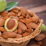 Özel Seçim Ilıman Sahil Bölgeler İçin Uygun Olan Aşılı Badem Fidanı Paketi
