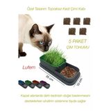 Özel Tasarım Topraksız Kedi Çimi Kabı Hidroponik Sistem Doğal Lif Çim Tohumu Yer Kaplamaz 25X10 Cm