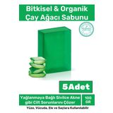Özel Üretim %100 Doğal Koku Yüz Cilt Beyazlatıcı Organik Nemlendirici Çay Ağacı Sabunu 5 Adet