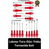 Özel Üretim Dayanıklı Yüksek Kalite Ev Iş Tamir Tadilat Lokma Torx Düz Yıldız Tornavida Seti Takımı - Kırmızı