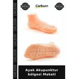 Özel Üretim Eğitim Refleksoloji Model Ayak Akupunktur Bölgesi Maketi