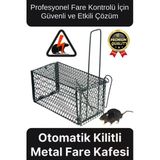 Özel Üretim Etkili Pratik Güvenli Hayvan Kemirgen Kontrolü Yaylı Otomatik Kilitli Metal Fare Kafesi