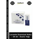 Özel Üretim Ferah Rahatlatıcı Ev Kokusu Lavanta Esansiyel Koku - 10 Ml - Esans Yağı