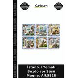 Özel Üretim Hediyelik Hatıra Dekoratif Mutfak Turistik İstanbul Temalı Buzdolapı Süsü Magnet Alk5828