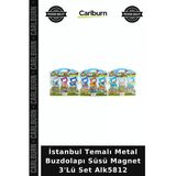 Özel Üretim Hediyelik Hatıra Ev Dekor İstanbul Temalı Metal Buzdolapı Süsü Magnet 3'Lü Set Alk5812