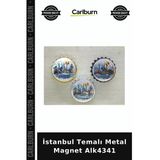 Özel Üretim Hediyelik Hatıra Turistik Dekoratif Koleksiyon İstanbul Temalı Metal Magnet Alk4341