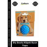 Özel Üretim Kaliteli Dayanıklı Isırmaya Karşı Kauçuk Eğitici İnteraktif Diş Dostu Köpek Oyun Topu