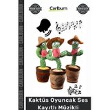 Özel Üretim Konuşan Dans Eden Sese Duyarlı Eğitici Peluş Bebek Kaktüs Oyuncak Ses Kayıtlı Müzikli