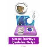Özel Üretim Kutulu İstiridye İçinde Sevgiliye Anneye Gerçek İnci Kolye Hediye Kadın Aksesuar Seti