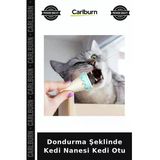 Özel Üretim Oyuncağı Evcil Hayvan Kediler İçin Dondurma Şeklinde Kedi Nanesi Kedi Otu