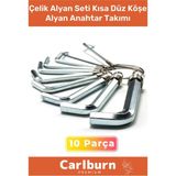 Özel Üretim Tamir Usta Çırak Bozuk Vida 10 Parça Çelik Alyan Seti Kısa Düz Köşe Alyan Anahtar Takımı