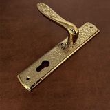 Özen Handles Imza Titanyum ZK19 Zamak Aynalı Yale Çelik Kapı Kolu Sol Basar Tek Yön - Altın - 1 Adet