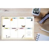 Özen Matbaası Haftalık Planlayıcı Kediler / Cats A4 Weekly Planner - Renkli - Bloknot