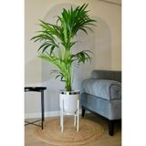 Özge design Metal Saksı Ayaklı Çiçeklik Dekoratif Beyaz Saksı Gümüş Detay Vazo Saksılık 50x30cm
