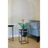 Özge design Metal Saksı Ayaklı Çiçeklik Dekoratif Siyah Gold Detaylı Saksı Vazo Vase Saksılık 41x21cm
