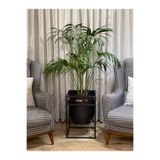 Özge design Metal Saksı Ayaklı Çiçeklik Siyah Saksı Ayaklı Gold Vazo Dekoratif Saksılık 41x30cm
